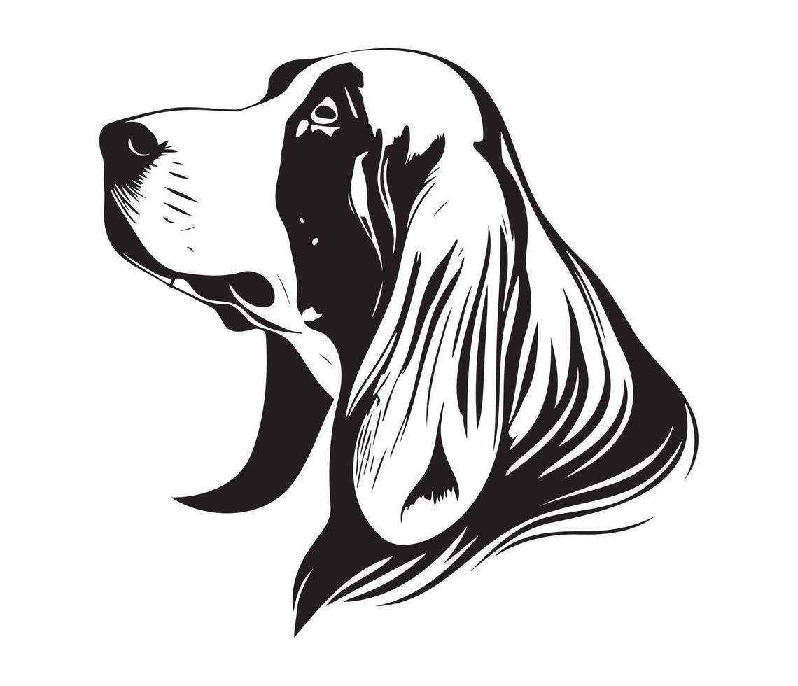 basset cão de caça face, silhuetas cachorro face, Preto e branco basset cão de caça vetor