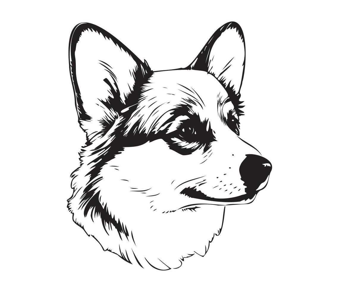 Pembroke galês corgi face, silhueta cachorro face, Preto e branco Pembroke galês corgi vetor