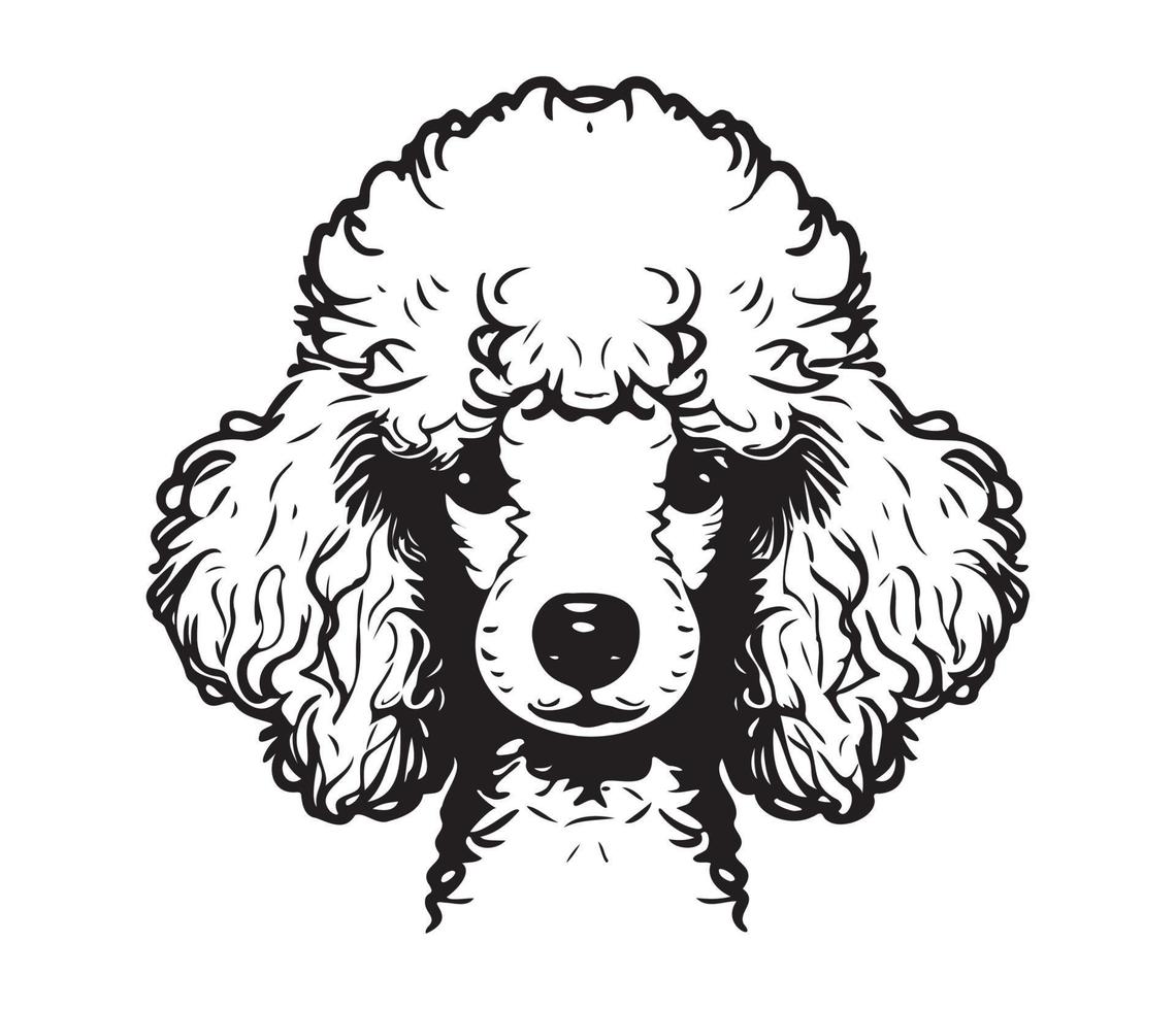 poodle face, silhueta cachorro face, Preto e branco poodle vetor