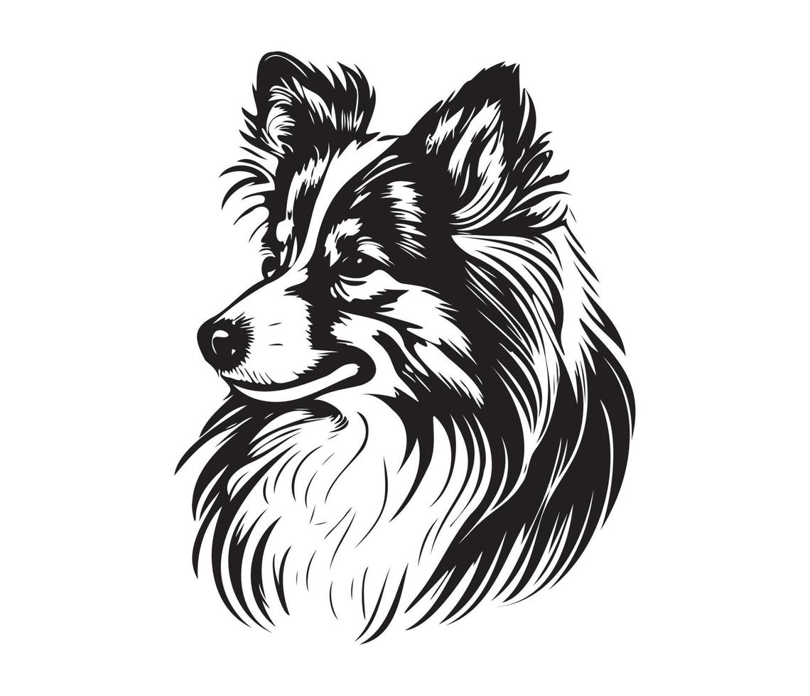 Shetland cão de guarda face, silhueta cachorro face, Preto e branco Shetland cão de guarda vetor