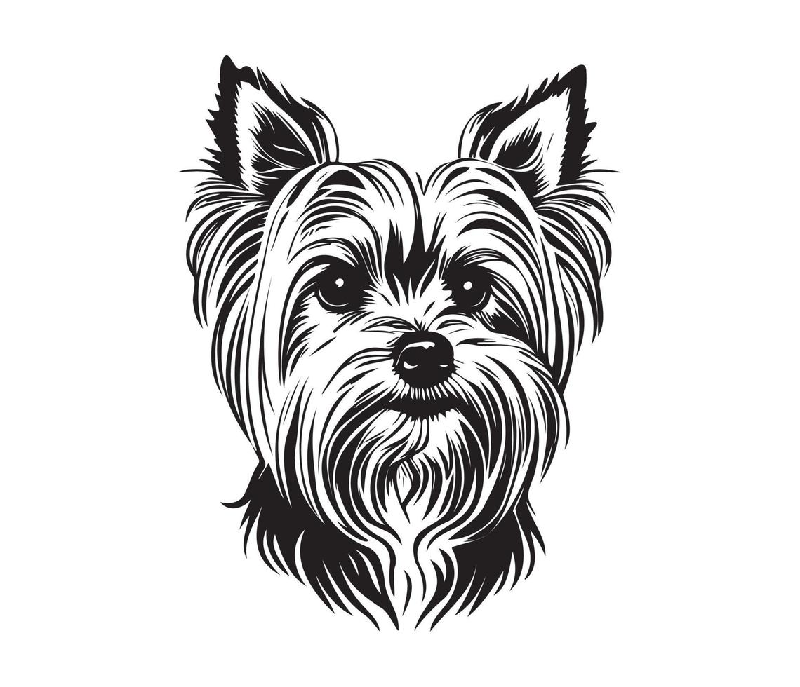 yorkshire terrier face, silhueta cachorro face, Preto e branco yorkshire terrier vetor