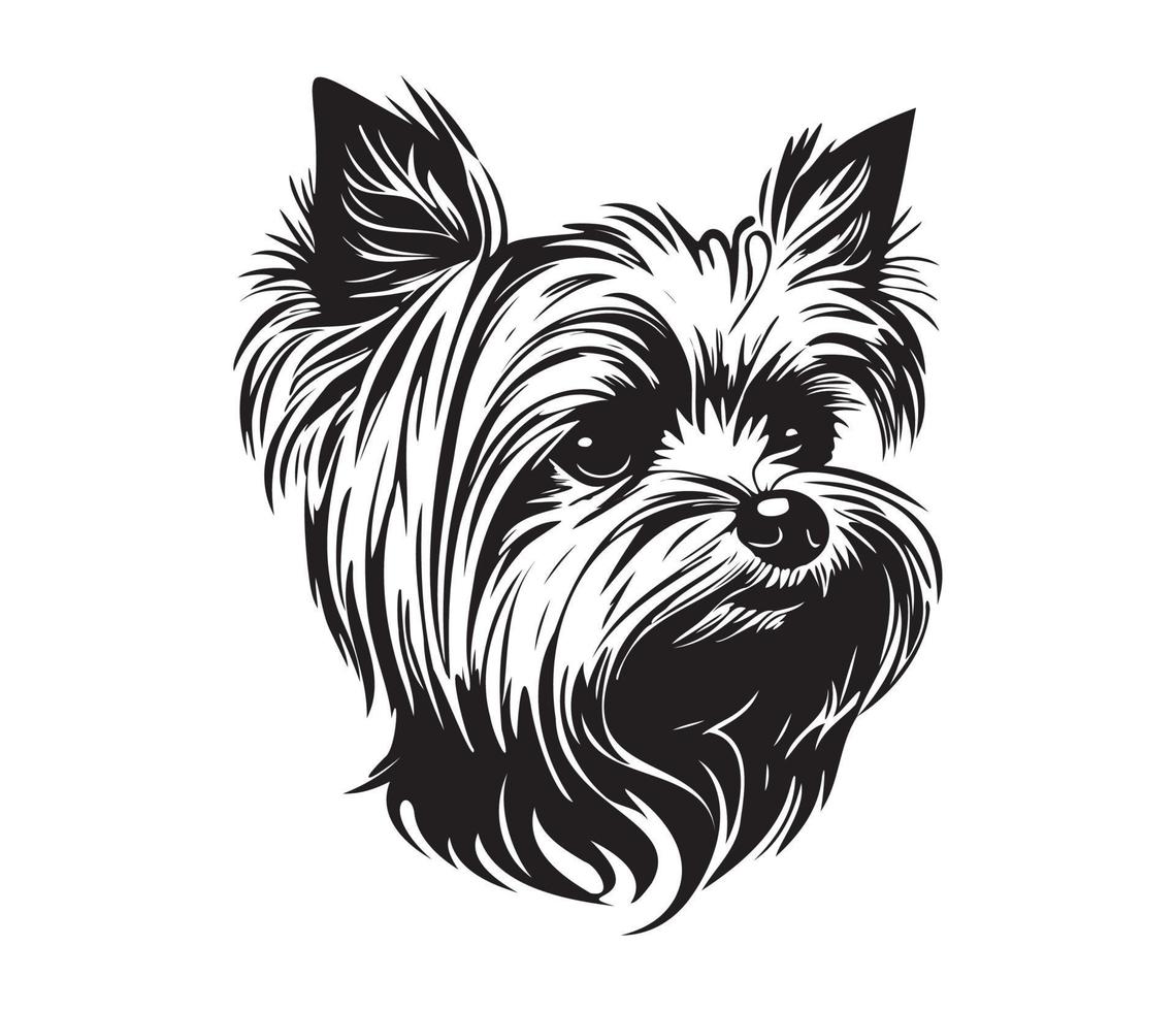 yorkshire terrier face, silhueta cachorro face, Preto e branco yorkshire terrier vetor