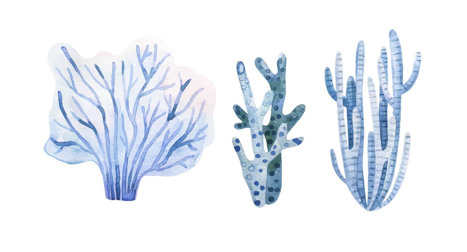 algas marinhas definir. embaixo da agua plantas. aguarela ilustração. oceano. algas marinhas algas, coral recife Projeto elemento. aquário plantas silhuetas vetor