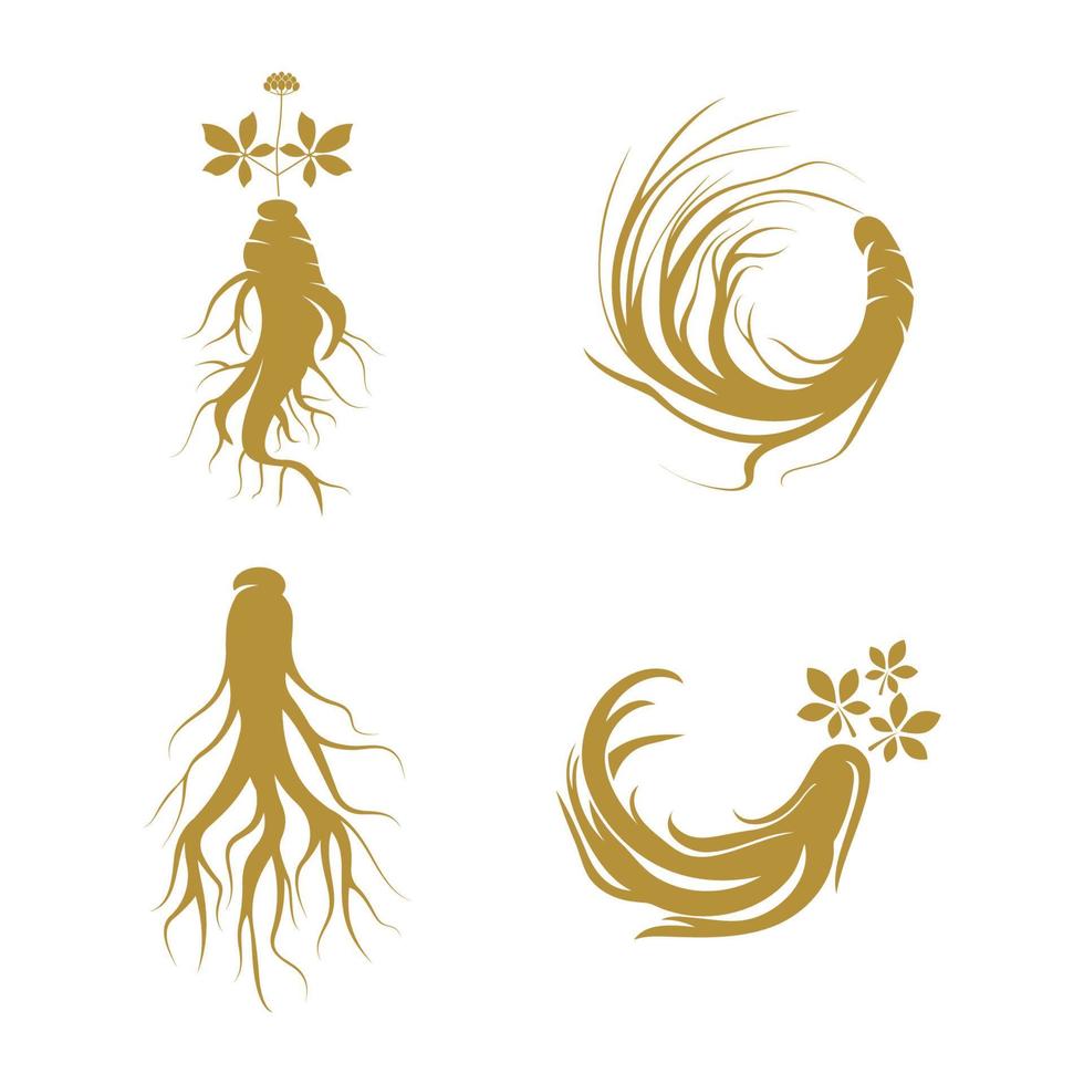 modelo de design de logotipo de ginseng e ícone de símbolo vetor