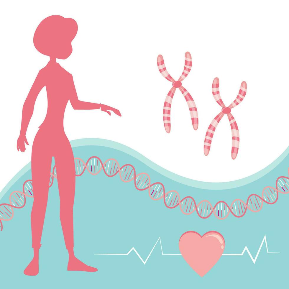 genético risco para coração doença vetor ilustração fundo gráfico