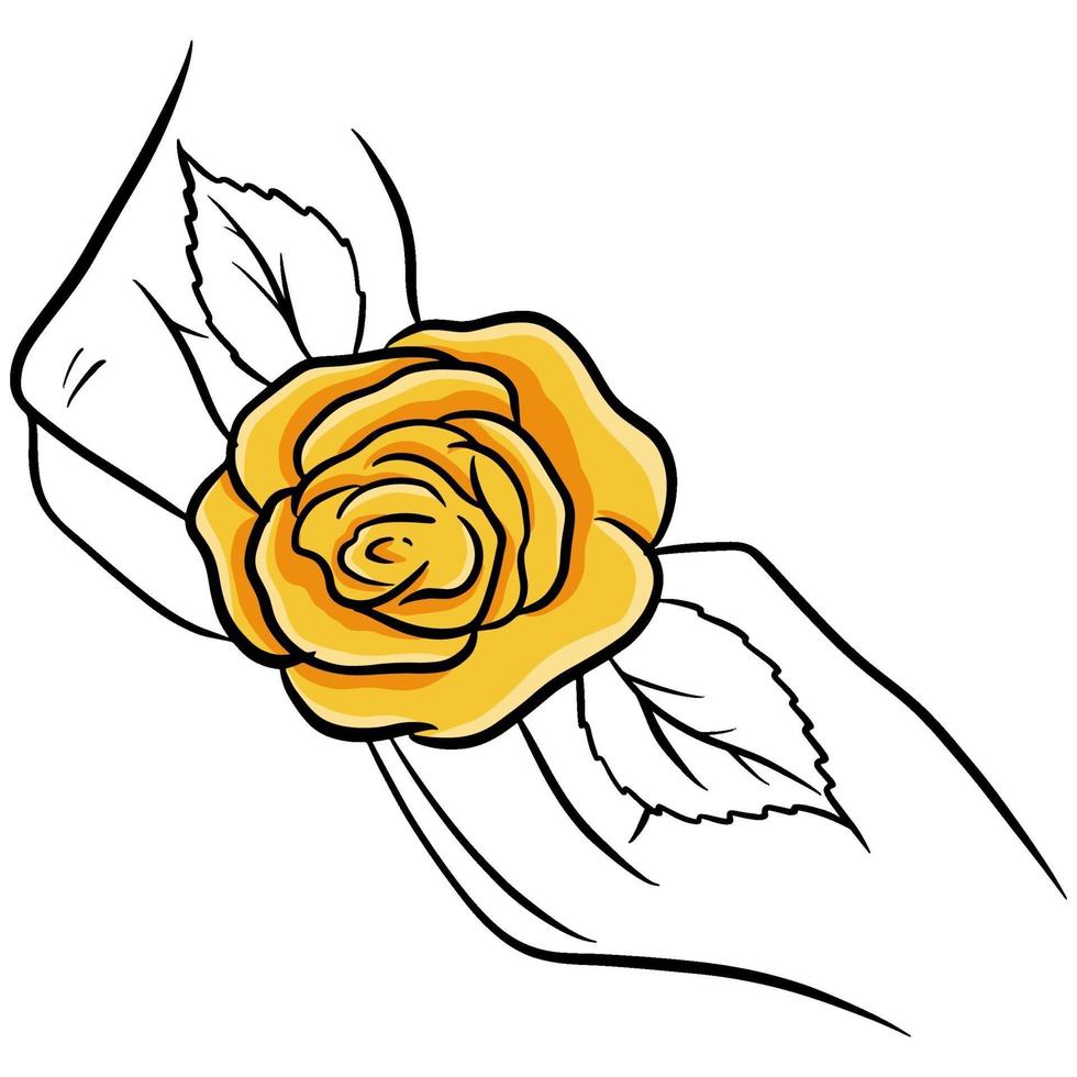 rosas desenhadas à mão. Flor bonita. estilo de desenho animado. ilustração vetorial. vetor