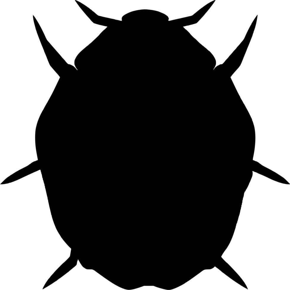 vetor silhueta do besouro em branco fundo