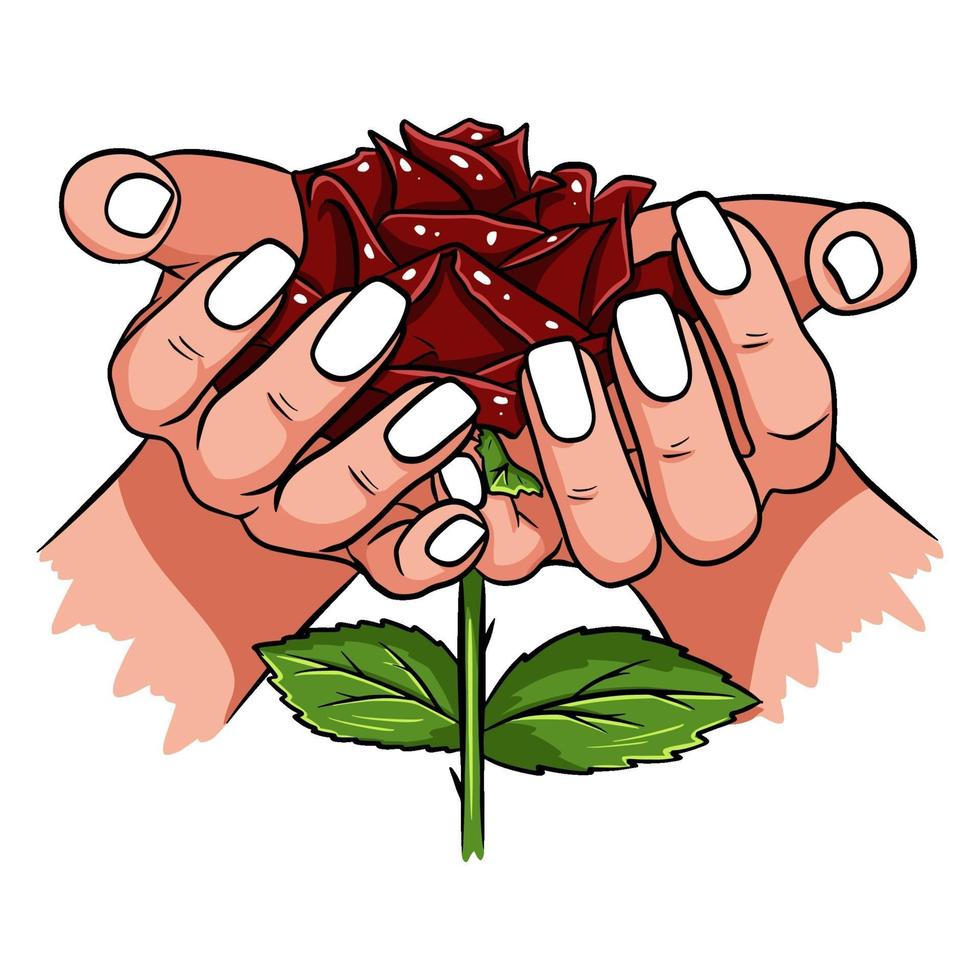rosa vermelha em mãos femininas. romântico. ilustração vetorial. vetor