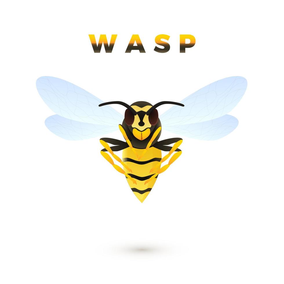 vespa desenho animado ilustração isolado em branco fundo. predatório inseto. amarelo listrado vespa. vetor