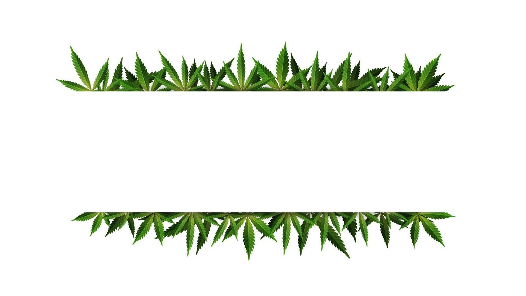 uma moldura retangular de folhas de cânhamo ao redor de um espaço vazio em branco. modelo de moldura de folha de cannabis para a indústria de cannabis vetor