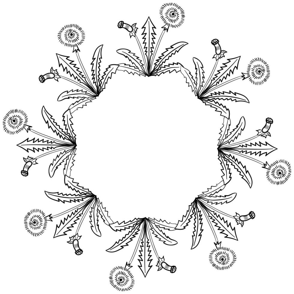 borda da moldura dente de leão vetor