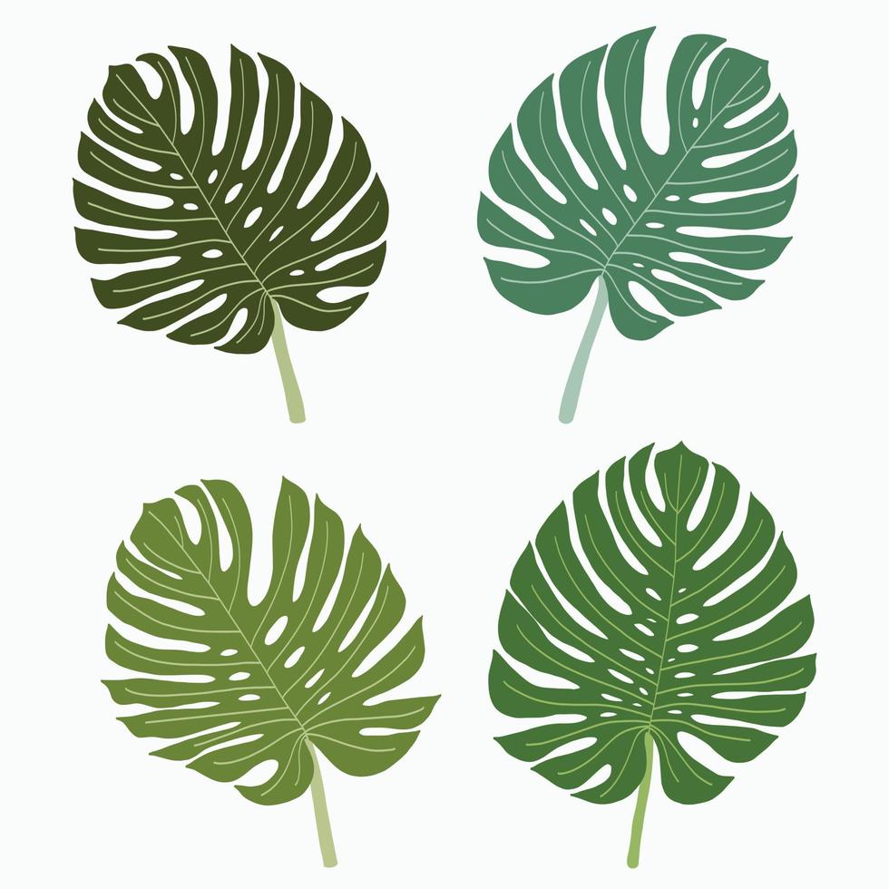 simplicidade monstera folha à mão livre desenho de linha contínua design plano. vetor