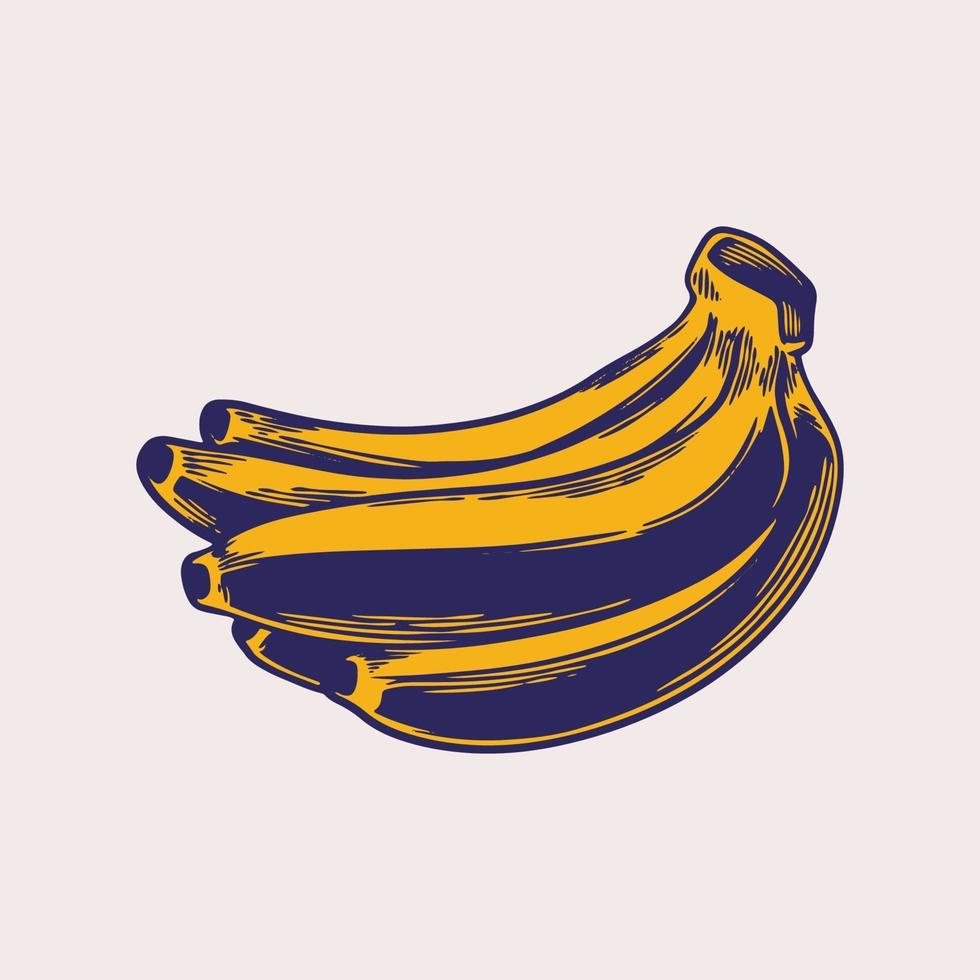 banana mão desenhada gravura vintage. frutas amarelas, um cacho de bananas. frutas tropicais, lanche de banana ou tema de nutrição vegetariana em esboços retrô isolados. ilustração vetorial arte vetor