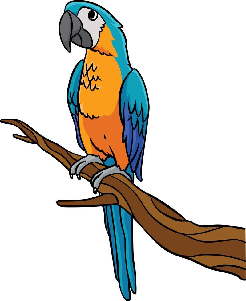 papagaio desenho animado colori clipart ilustração vetor