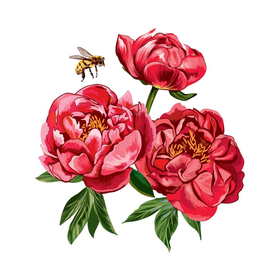 vermelho vetor peônias com uma vôo abelha. colorida vintage floral ramalhete vetor Projeto para convite e cumprimento cartão Projeto.