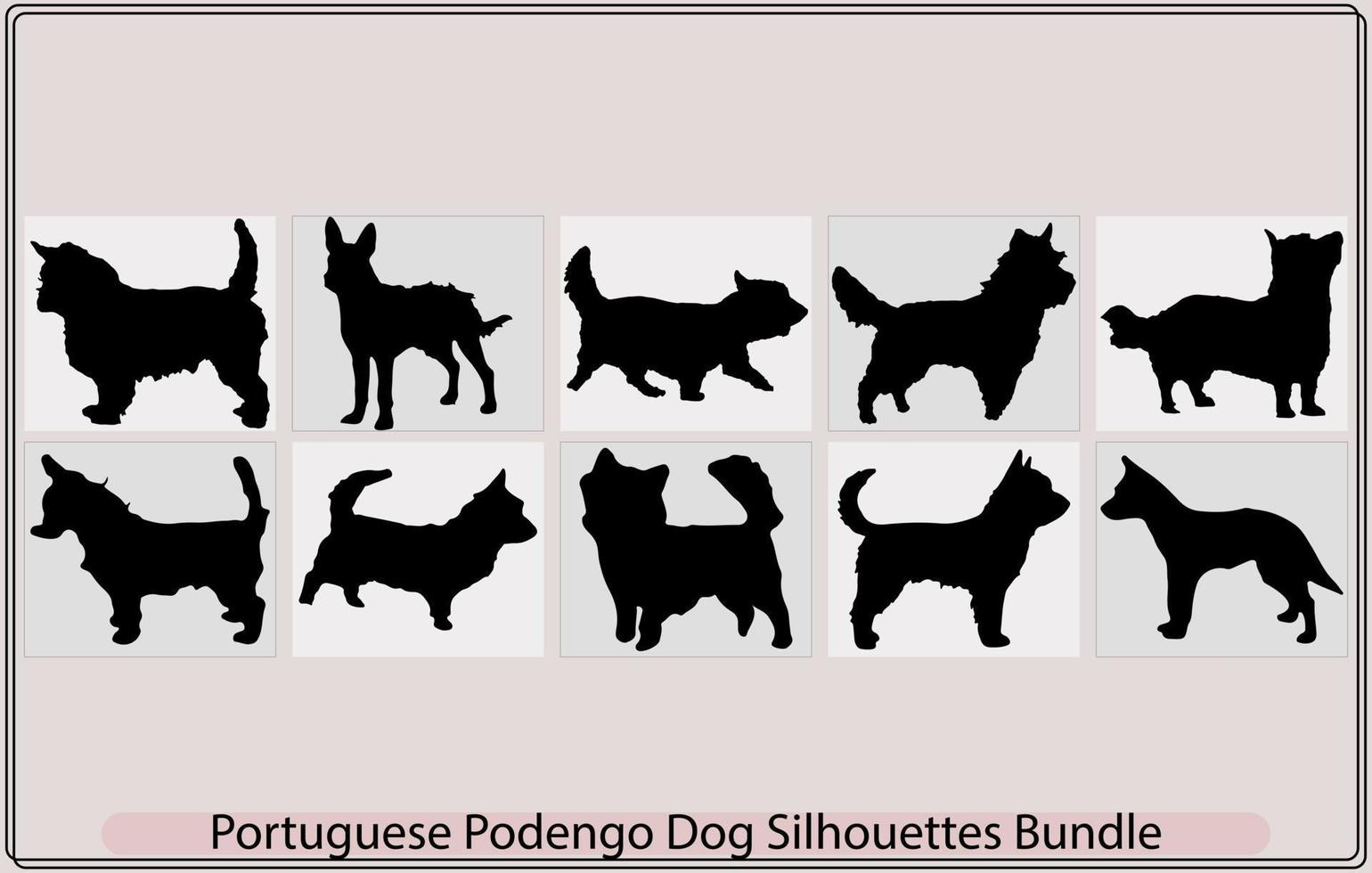 Português podengo pequeno cachorro silhueta, colorida decorativo retrato do em pé dentro perfil fio casaco Português podengo,decorativo retrato do em pé dentro perfil fio casaco Português podengo vetor