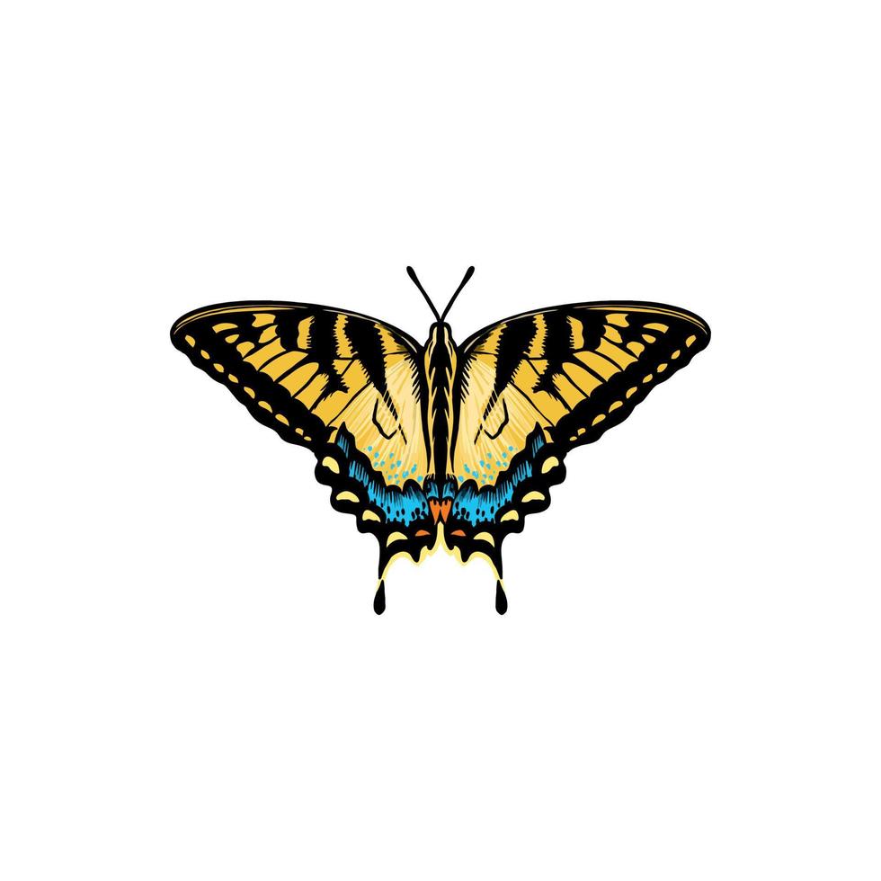 elegante borboleta com brilhante asas e antenas. vetor ilustração do uma tigre borboleta em uma branco fundo.