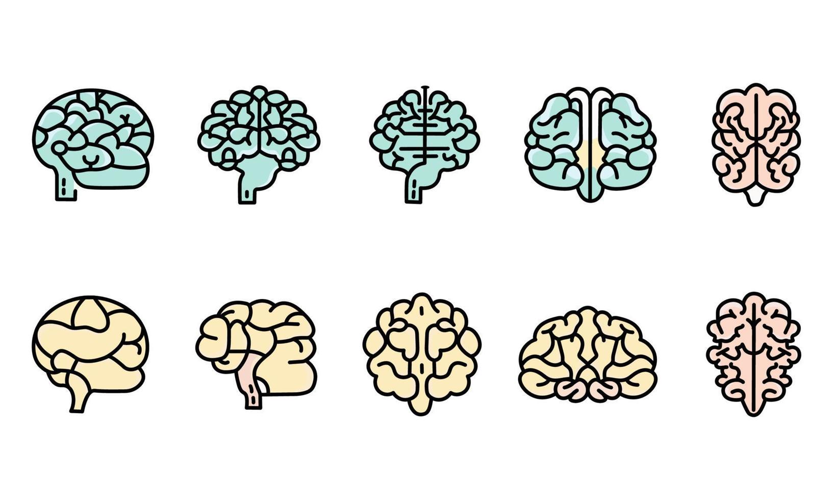 diferente Visão do colorida cérebros elemento definir. vetor