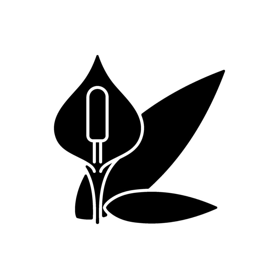 ícone de glifo preto spathiphyllum vetor