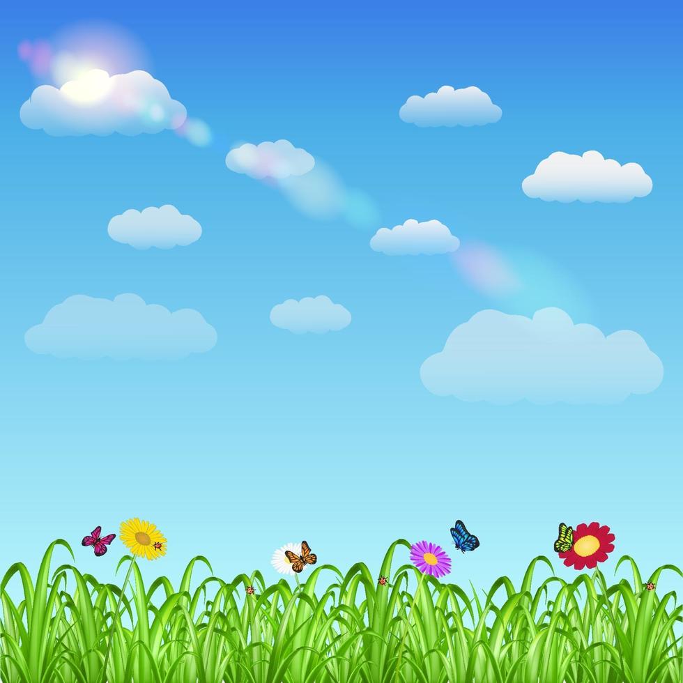 grama com flores, borboletas e joaninhas com céu vetor