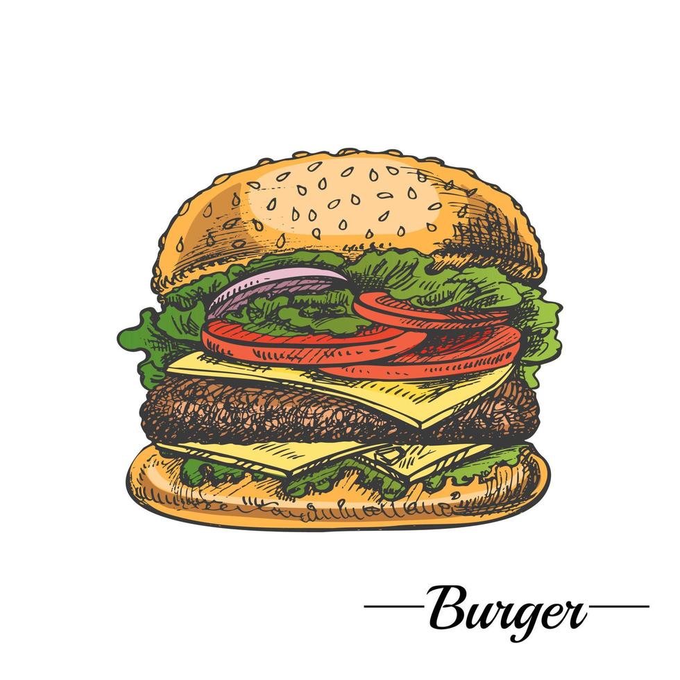 desenhado à mão colori esboço do ótimo delicioso sanduíche, hambúrguer, Hamburger isolado em branco fundo. velozes Comida vintage ilustração. ótimo para cardápio, poster ou restaurante fundo. vetor