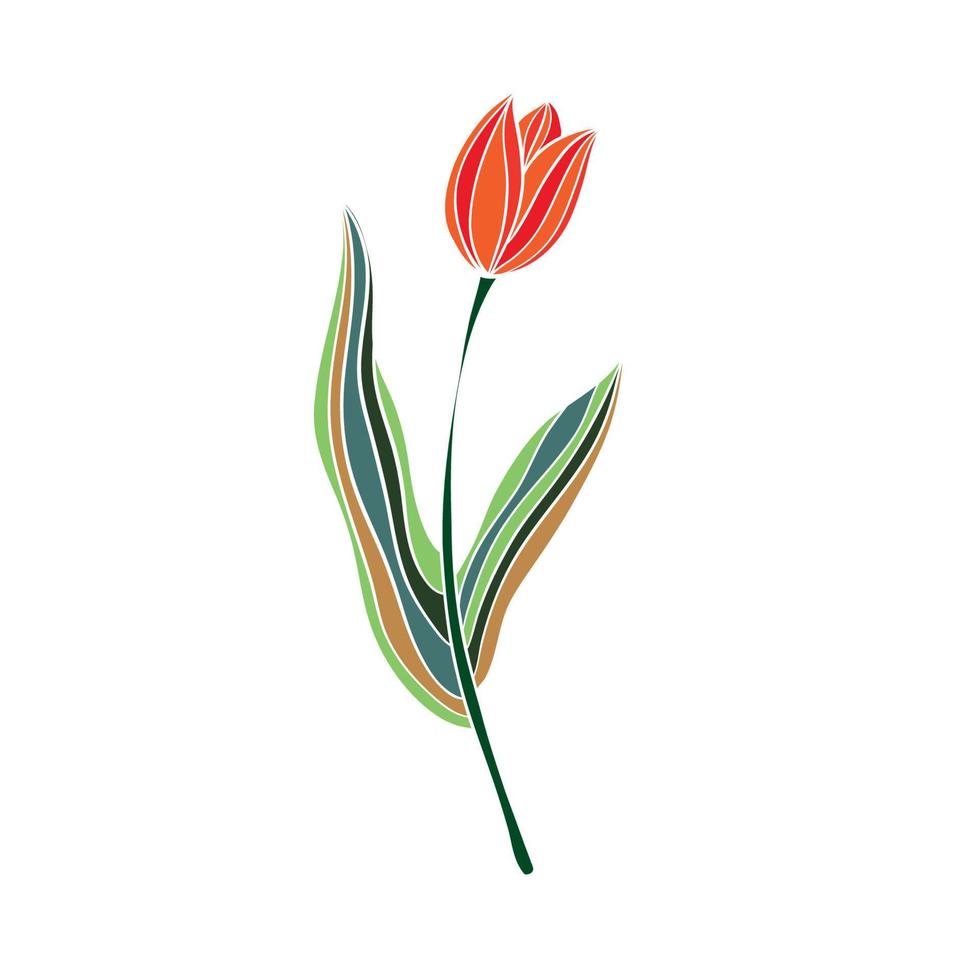 flor plano vetor ícone tulipa, açafrão, floco de neve, flores linha desenhando arte. vetor ilustração