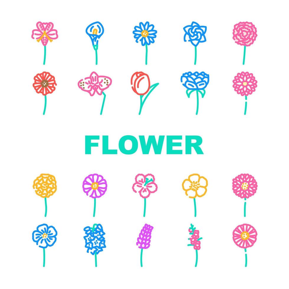 flor Primavera floral natureza ícones conjunto vetor