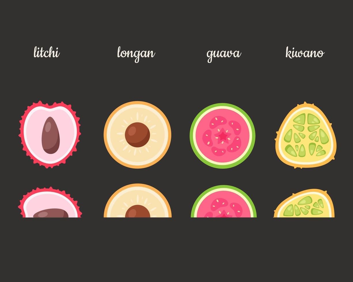 frutas exóticas lichia, longan, goiaba, kiwano. ilustração vetorial vetor