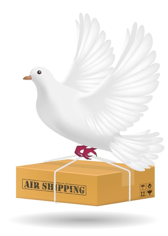 pombo branco voando com entrega de frete aéreo vetor
