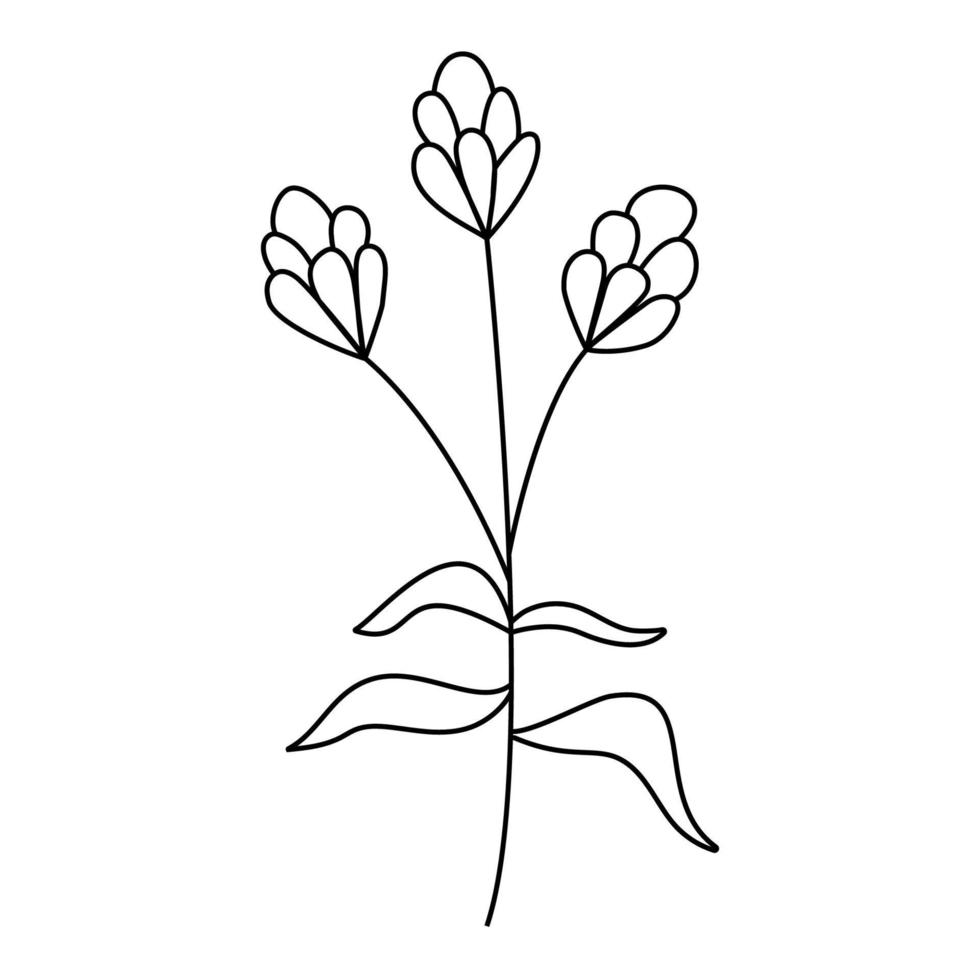 outono mão desenhado decorativo elementos para seu Projeto. folhas, florais elementos, pena. vetor ilustração