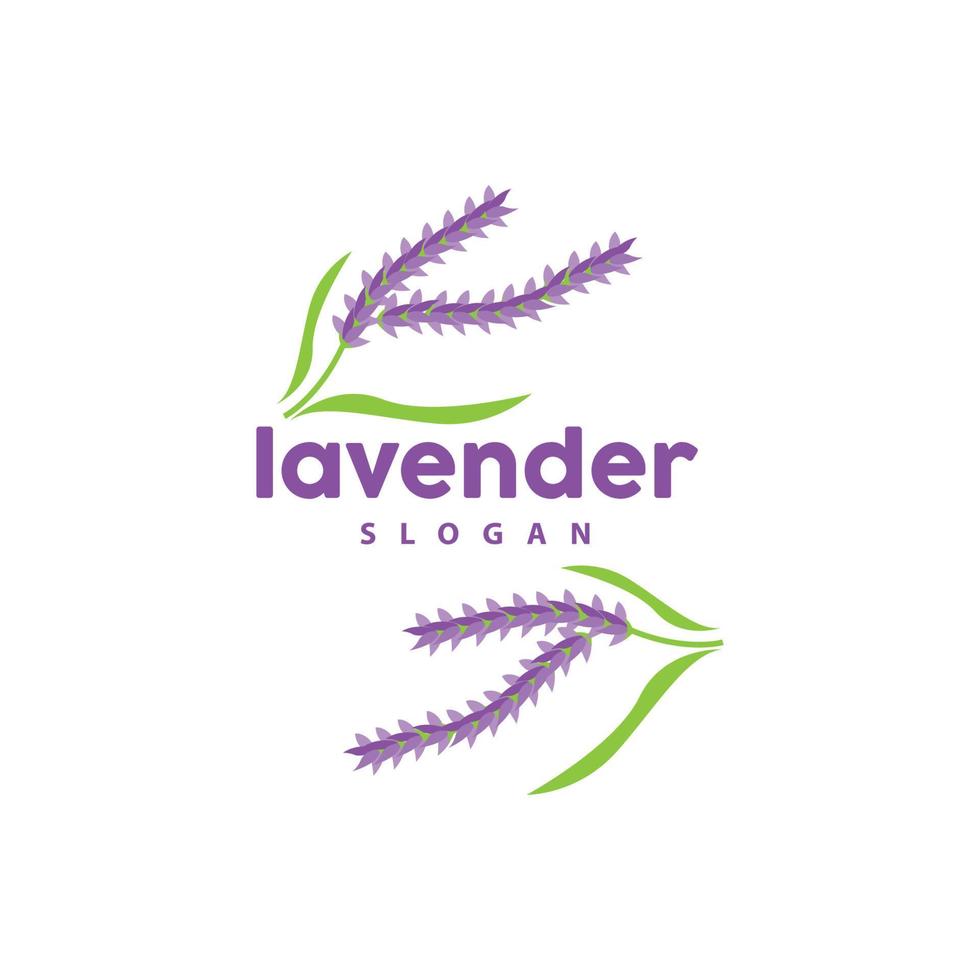 lavanda logotipo, simples elegante roxa flor plantar vetor, cumprimento cartão projeto, bandeira, flor ornamento, lavanda mão desenhado casamento, ícone símbolo ilustração vetor