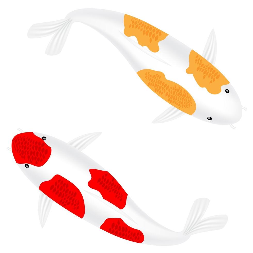peixes koi vermelho e amarelo do japão ou peixes elegantes de carpa vetor