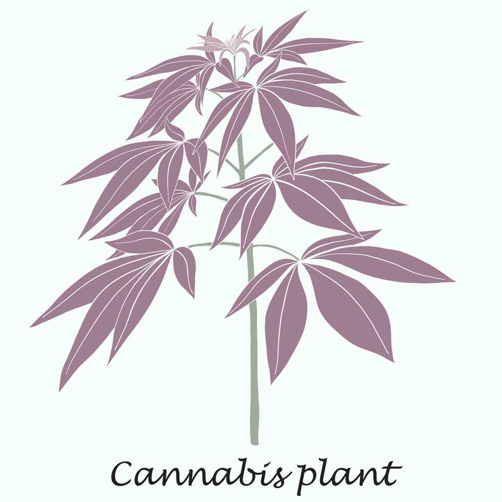 simplicidade planta de cannabis desenho à mão livre design plano. vetor