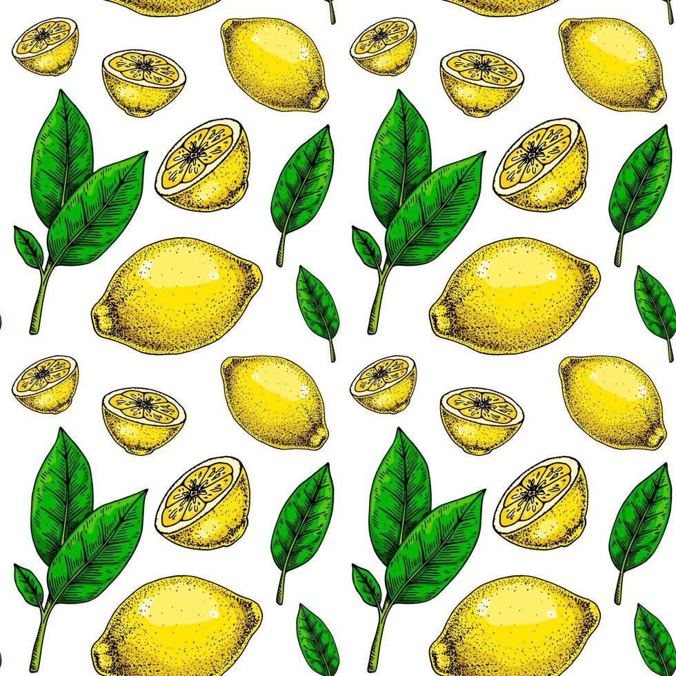 limão desatado padronizar. colorida mão desenhado vetor ilustração dentro esboço estilo. tropical exótico citrino fruta verão fundo