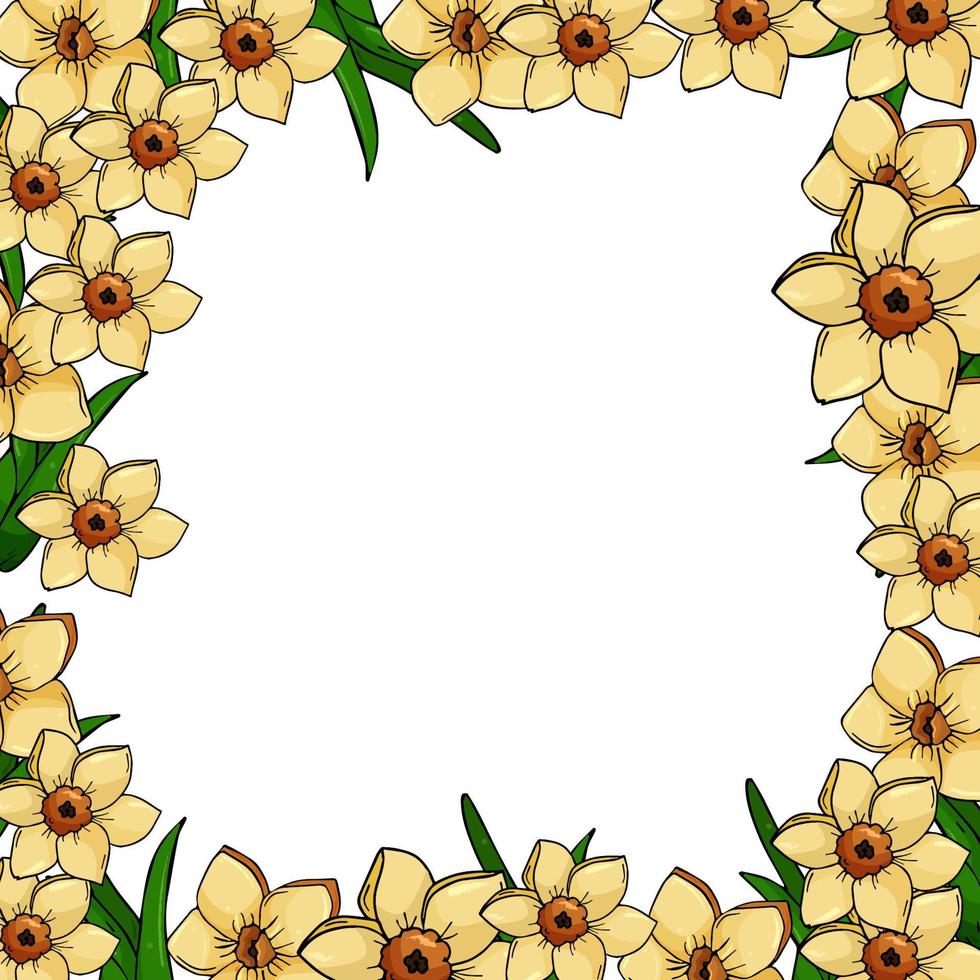 desenhando desenho animado flores narcisos dentro uma círculo com folhas. social meios de comunicação modelo, anúncio, fundo. vetor