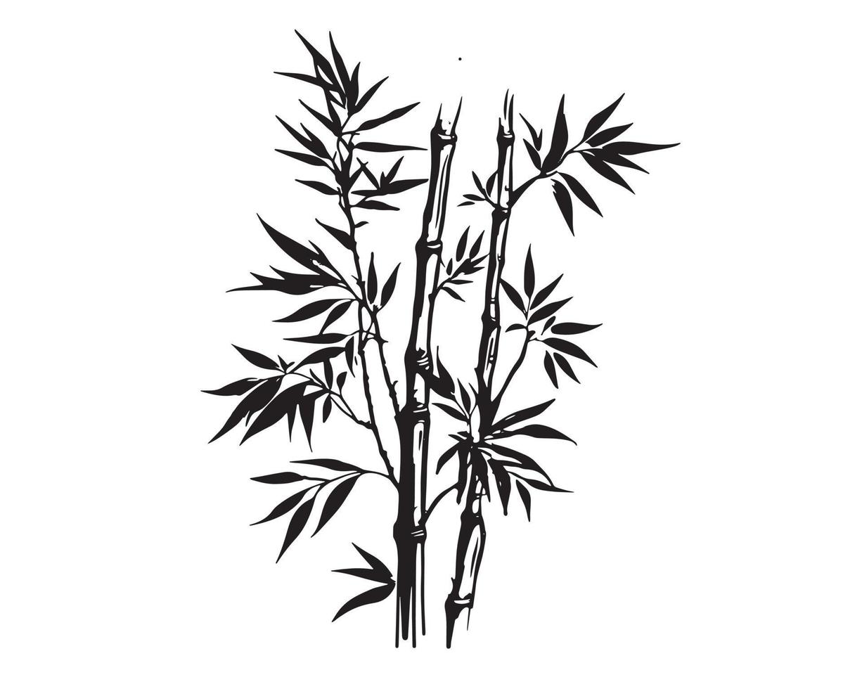 bambu árvore, mão desenhado estilo. vetor. vetor