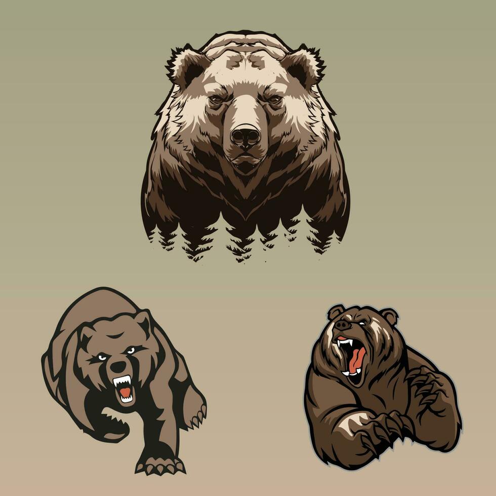 3 grisalho Urso livre vetor arte