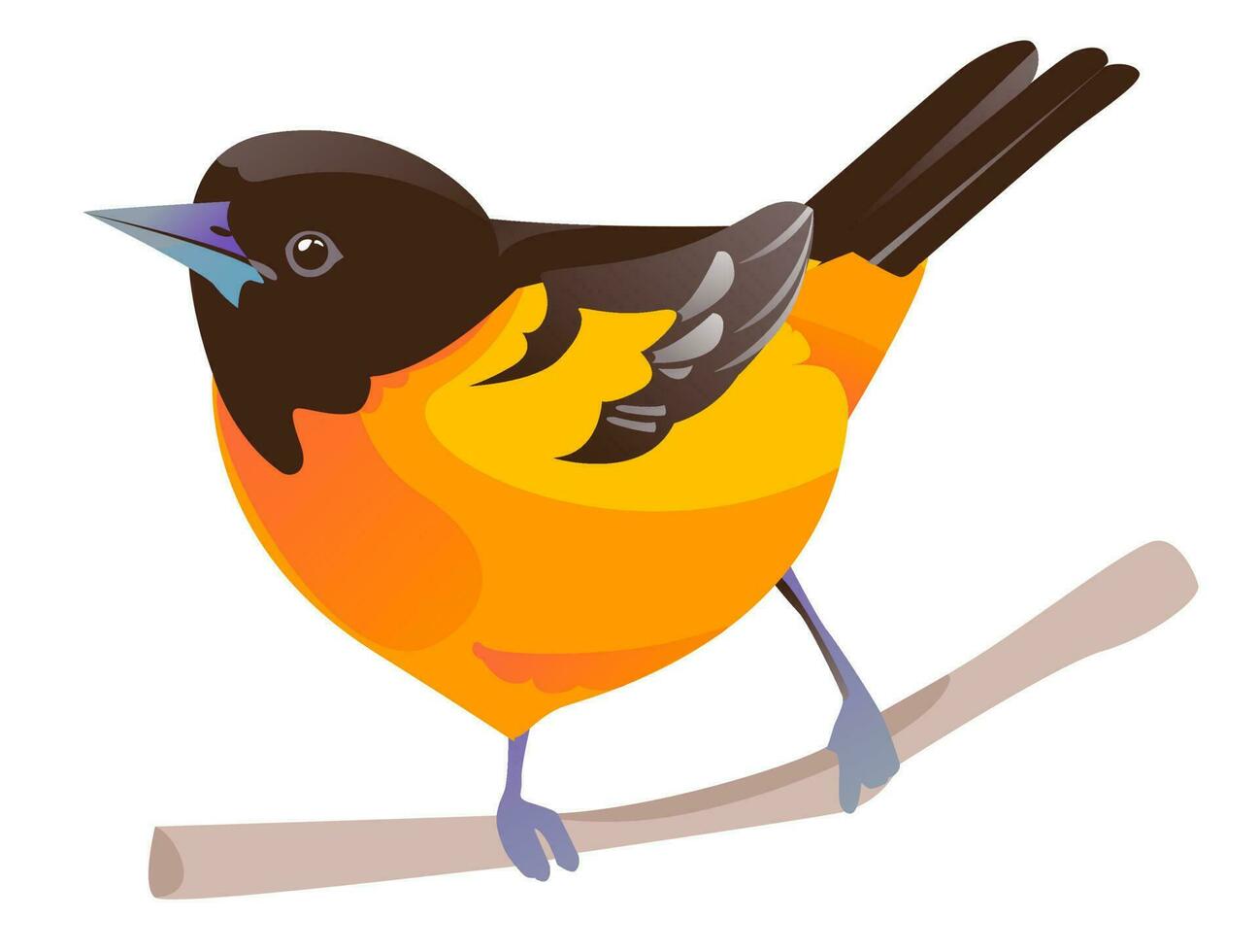 pássaro Baltimore oriole vetor ilustração isolado em uma branco fundo. uma pássaro em uma ramo.