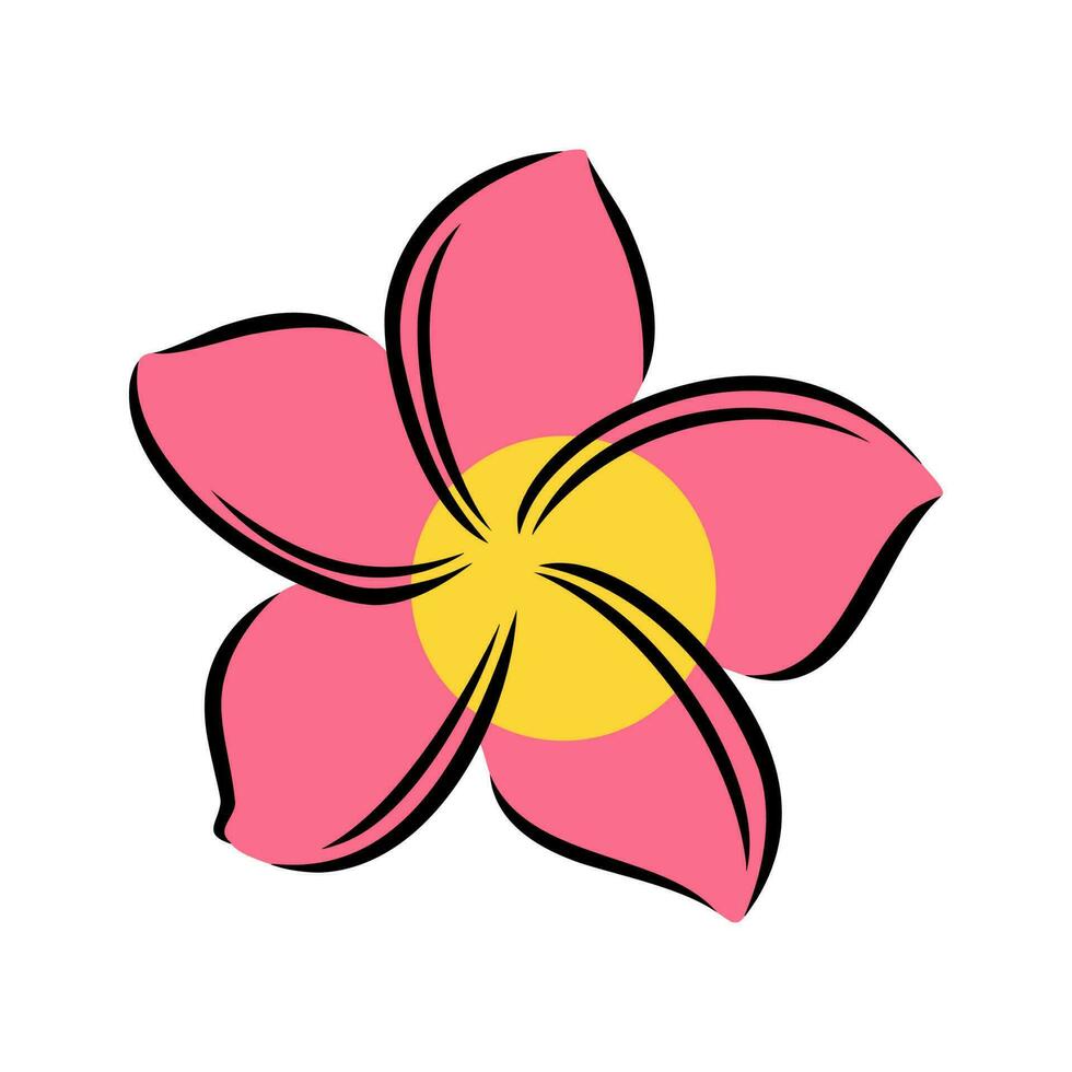 frangipani ou plumeria exótico verão flor. gravado frangipani isolado dentro branco fundo. vetor ilustração