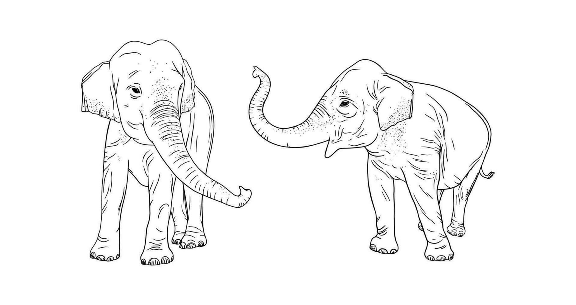 elefantes isolado em branco fundo. realista elefante família. vetor ilustração
