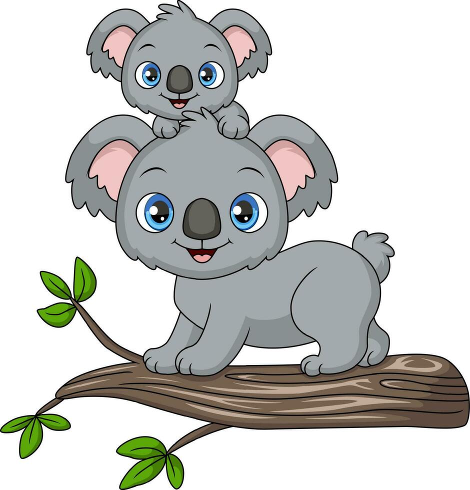 fofa mãe coala e bebê em uma árvore ramo vetor