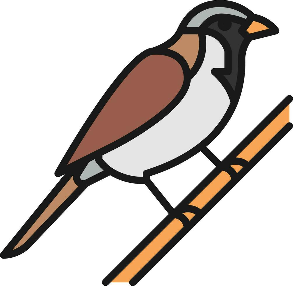 pássaro ilustração vetor