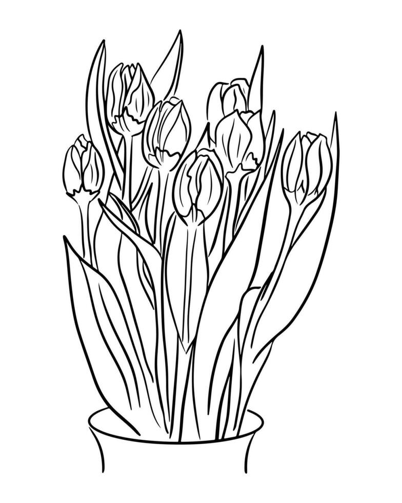 mão desenhado grupo do tulipas. vetor esboço ilustração. flores isolado em branco fundo. adequado estar usava para coloração Páginas, Como tatuagem