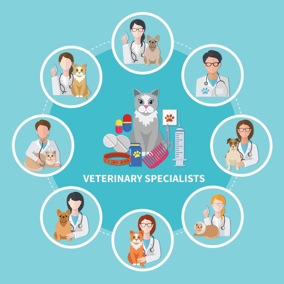 cartaz plano de especialistas veterinários vetor