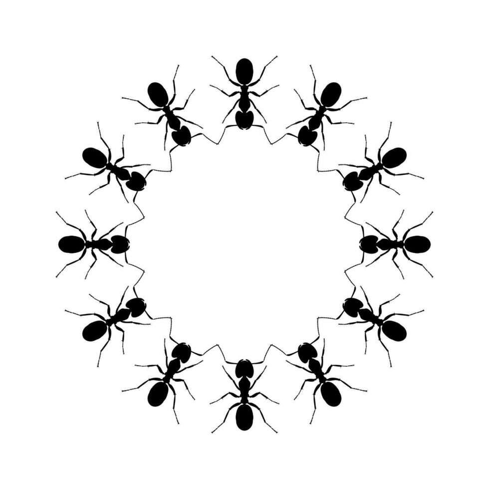 colônia do a formiga silhueta círculo forma composição para arte ilustração, logotipo, pictograma, local na rede Internet, ou gráfico Projeto elemento. vetor ilustração