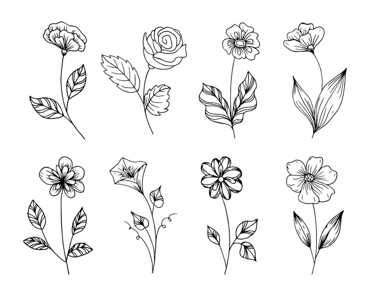 mão desenhado esboço flores, definir. esboço, botânico ícones, vetor