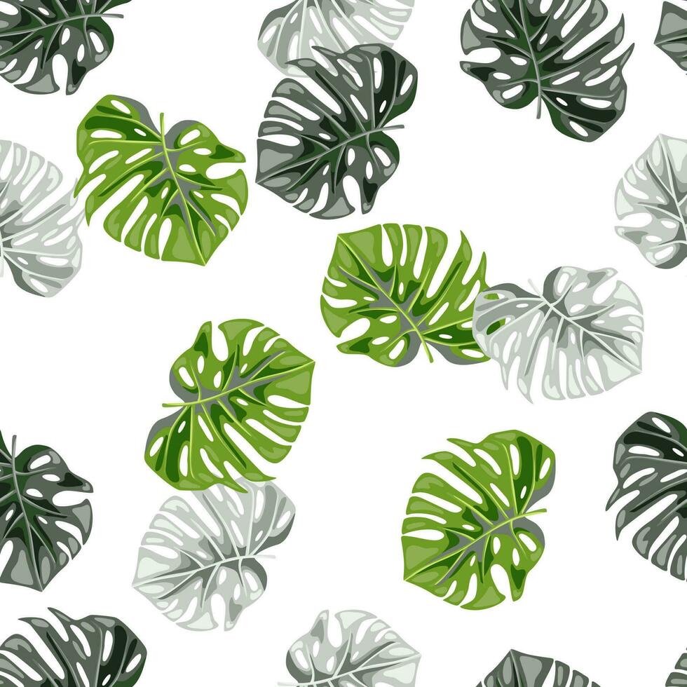 monstera folhas desatado padronizar. exótico selva plantas sem fim papel de parede. folha fundo. havaiano floresta tropical floral pano de fundo. vetor