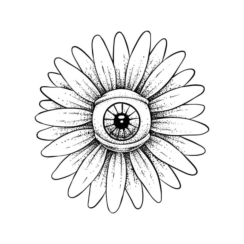 olho do margarida flor Preto e branco cor vetor