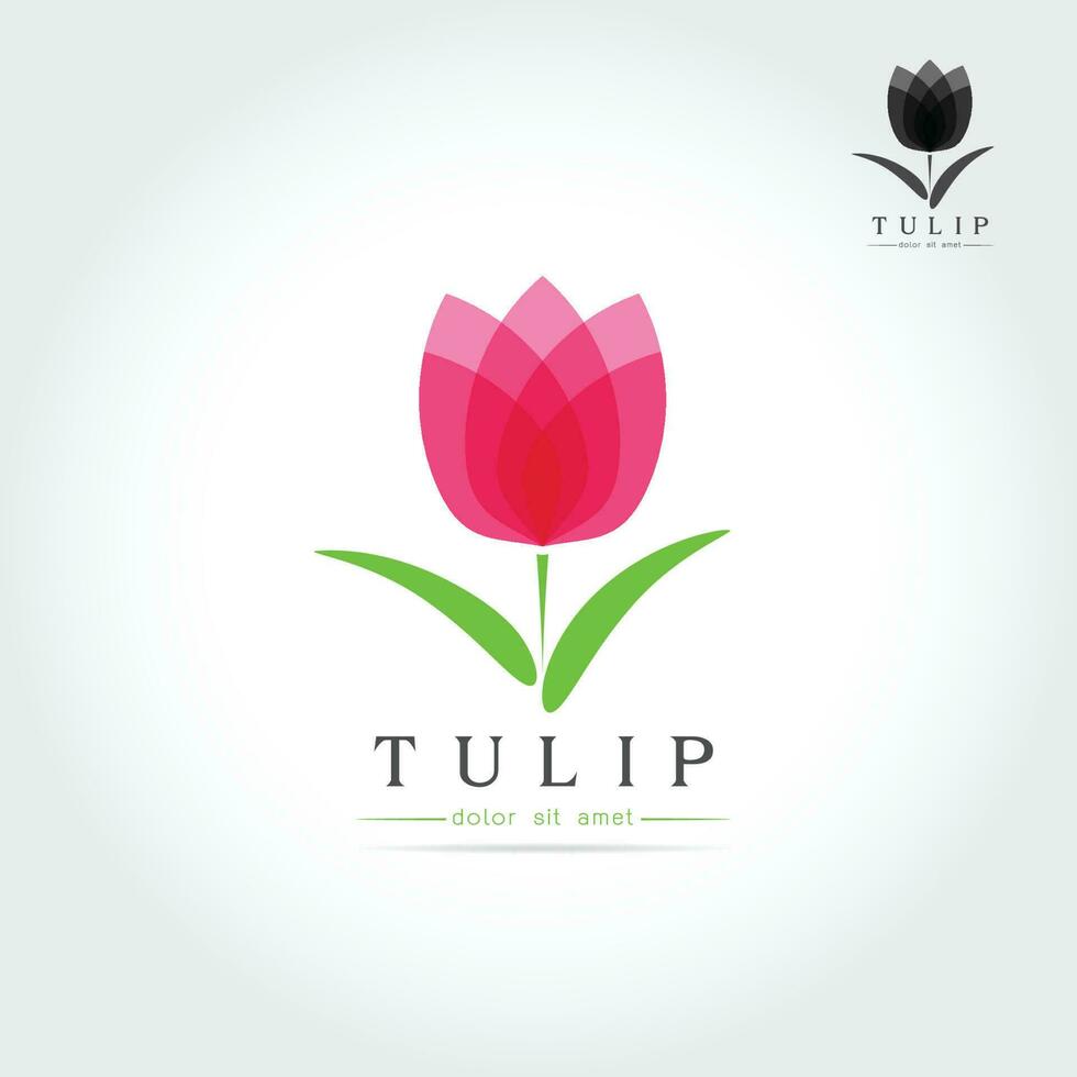 simples tulipa broto com folhas Projeto vetor