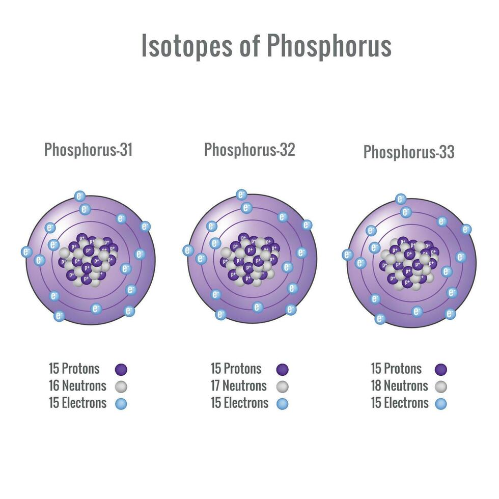 isótopos do fósforo átomo 3d vetor ilustração